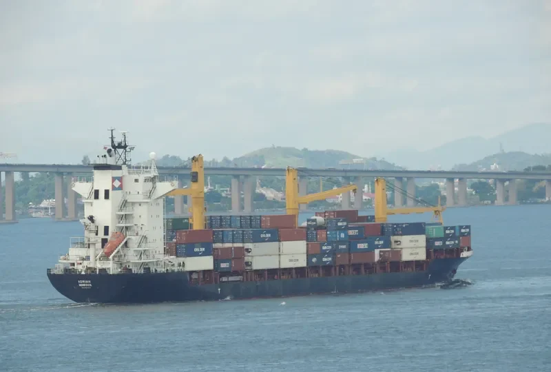 MSC ELSA 3 Container Ship IMO 9123221 photo 10