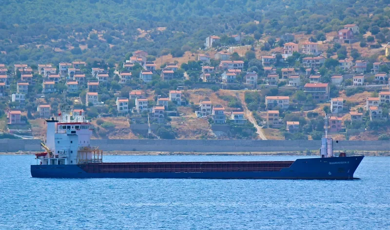 SUURHUSEN.S General Cargo IMO 9123245 photo 8