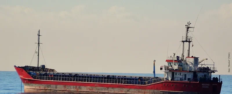 DENIZHAN TRIO General Cargo IMO 9123295 photo 4