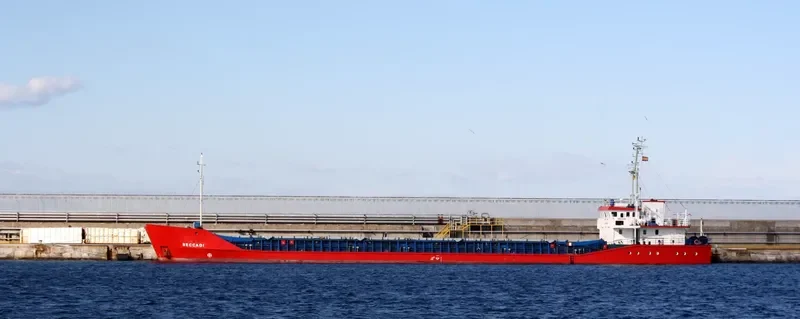 DENIZHAN TRIO General Cargo IMO 9123295 photo 10
