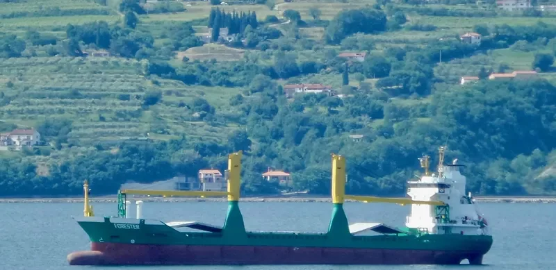 PUERTO NATALES General Cargo IMO 9123300 photo 9