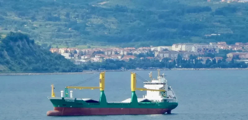 PUERTO NATALES General Cargo IMO 9123300 photo 10