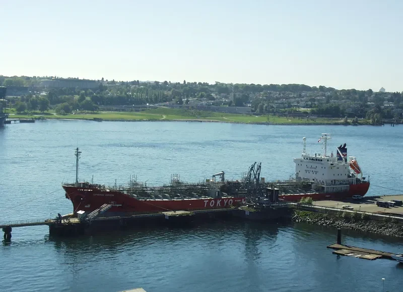 PVT SEA LION Tanker IMO 9123362 photo 9