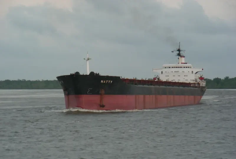 NATTY Bulk Carrier IMO 9123398