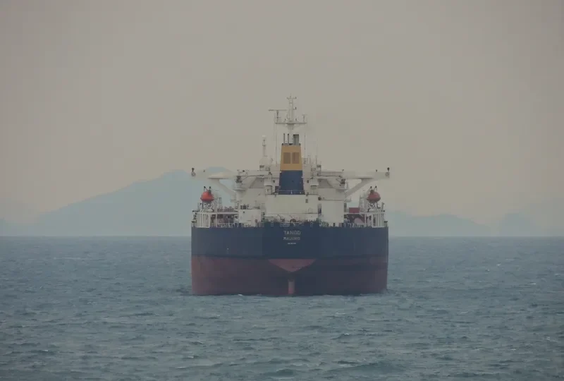 NATTY Bulk Carrier IMO 9123398 photo 2