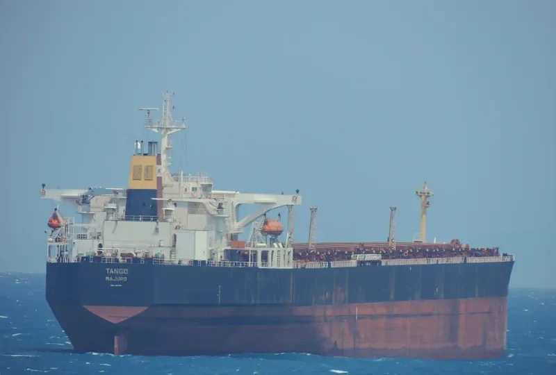 NATTY Bulk Carrier IMO 9123398 photo 3