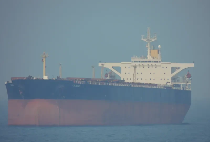 NATTY Bulk Carrier IMO 9123398 photo 5