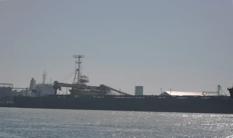 NATTY Bulk Carrier IMO 9123398 photo 6