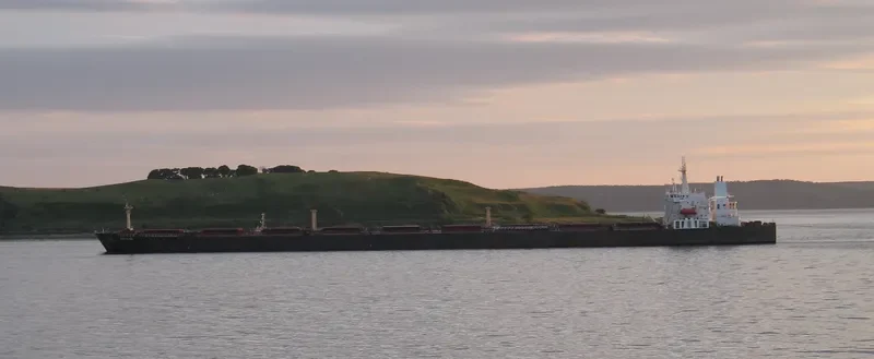 NATTY Bulk Carrier IMO 9123398 photo 7