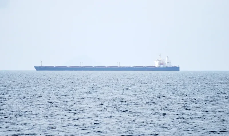 NATTY Bulk Carrier IMO 9123398 photo 8