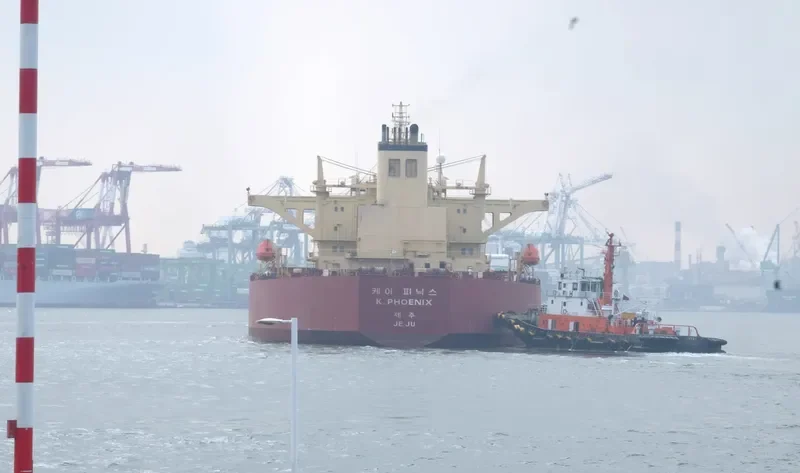 PHOENIX 1 Bulk Carrier IMO 9123415 photo 2