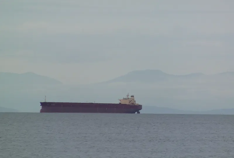PHOENIX 1 Bulk Carrier IMO 9123415 photo 6