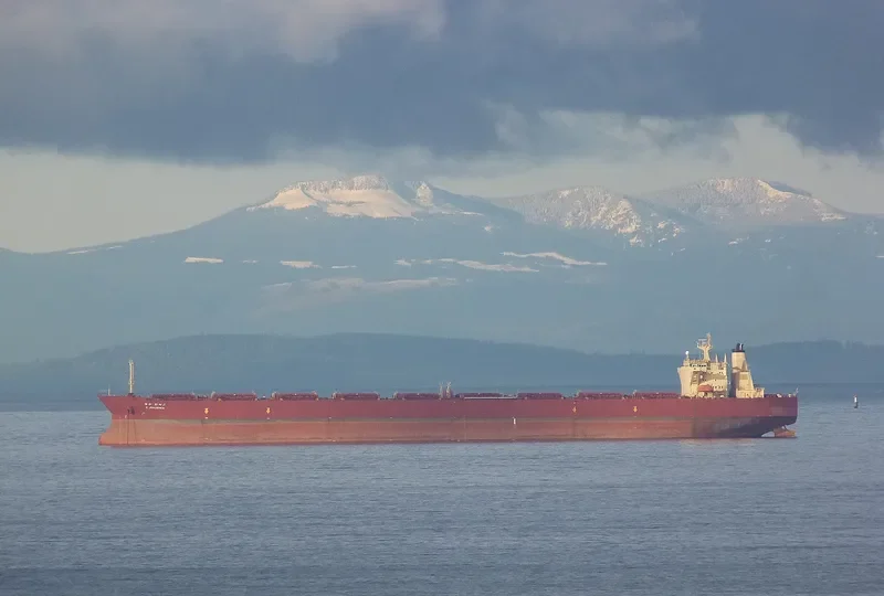 PHOENIX 1 Bulk Carrier IMO 9123415 photo 7