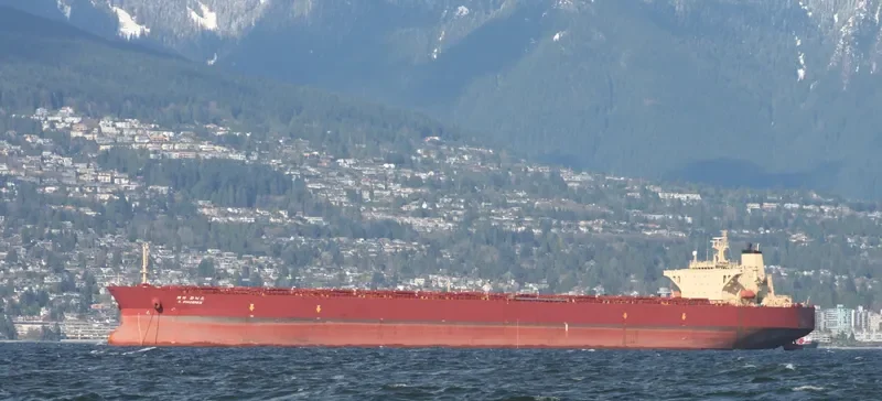 PHOENIX 1 Bulk Carrier IMO 9123415 photo 8