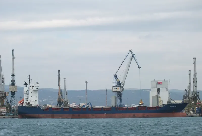 NAVI STAR Container Ship IMO 9123506 photo 4