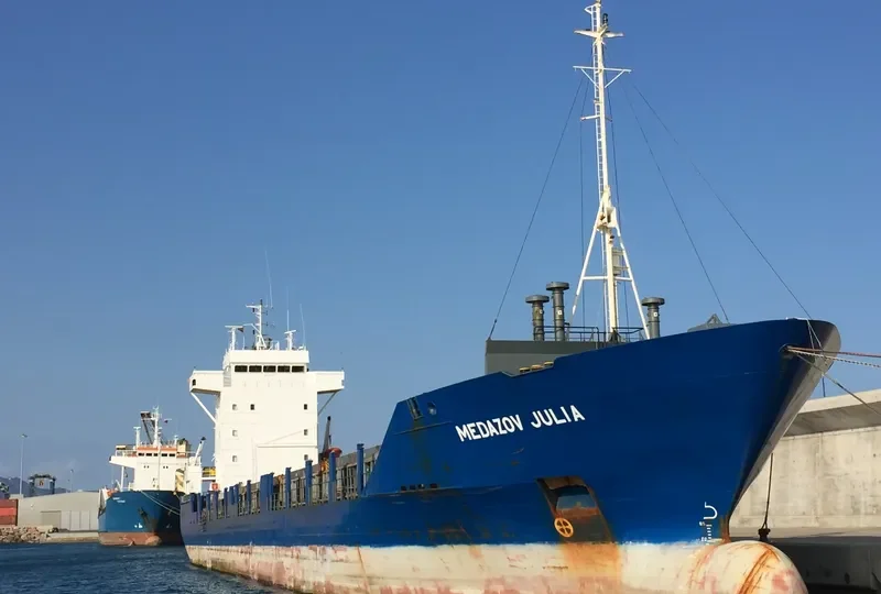 ARIES Container Ship IMO 9123518 photo 2