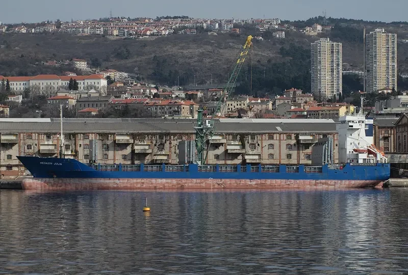ARIES Container Ship IMO 9123518 photo 6