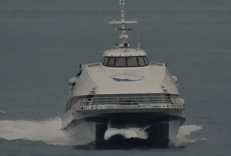 ARIA BUPALA Passenger Ship IMO 9123556 photo 3