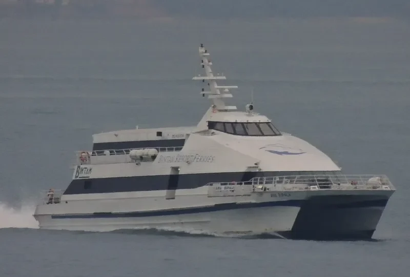 ARIA BUPALA Passenger Ship IMO 9123556 photo 4