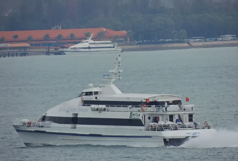 ARIA BUPALA Passenger Ship IMO 9123556 photo 5