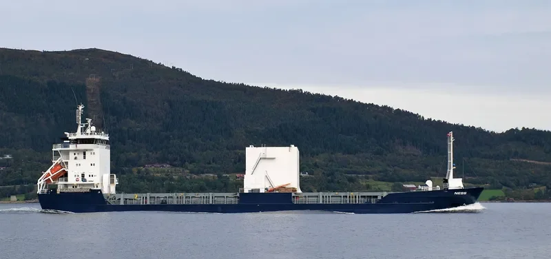 NESS General Cargo IMO 9123570 photo 3
