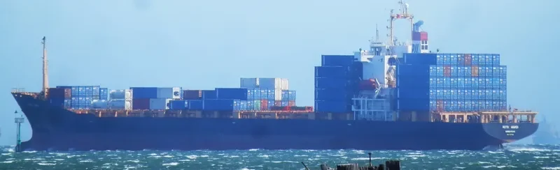 KOTA WANGI Container Ship IMO 9123582 photo 8