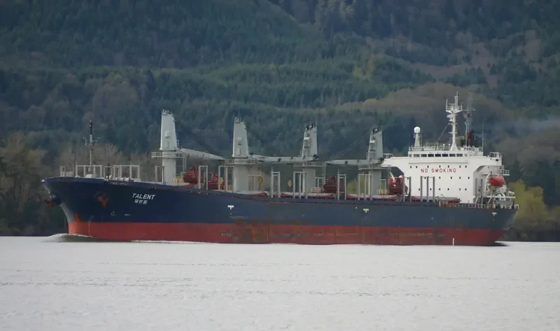 KHAN S Bulk Carrier IMO 9123611 photo 4