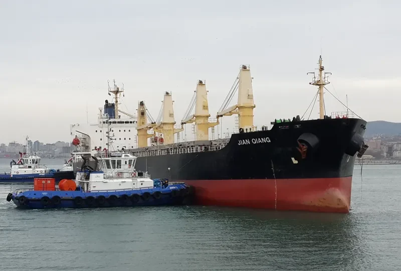 JIAN QIANG Bulk Carrier IMO 9123623 photo 4