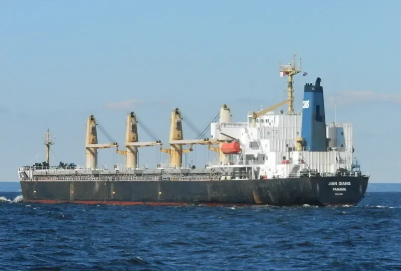 JIAN QIANG Bulk Carrier IMO 9123623 photo 9