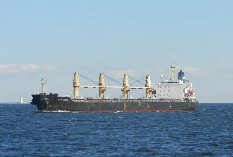 JIAN QIANG Bulk Carrier IMO 9123623 photo 10