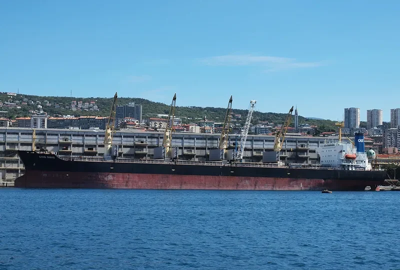 GANG QIANG Bulk Carrier IMO 9123635