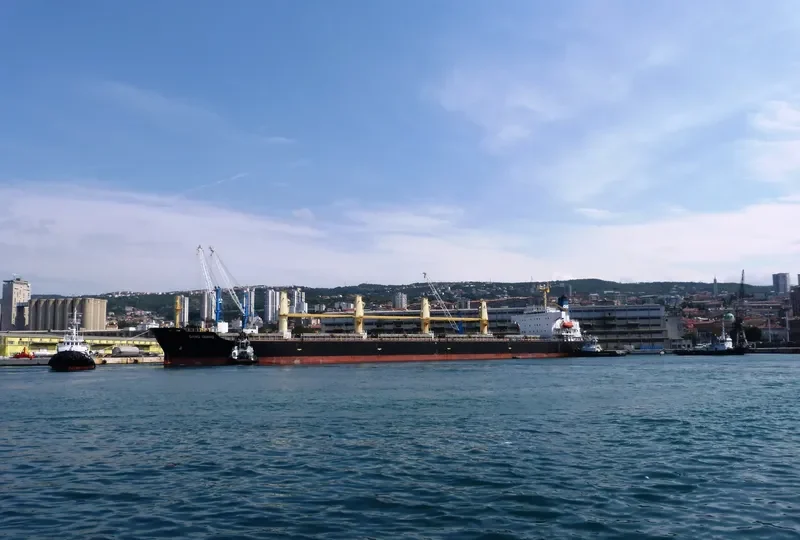 GANG QIANG Bulk Carrier IMO 9123635 photo 3