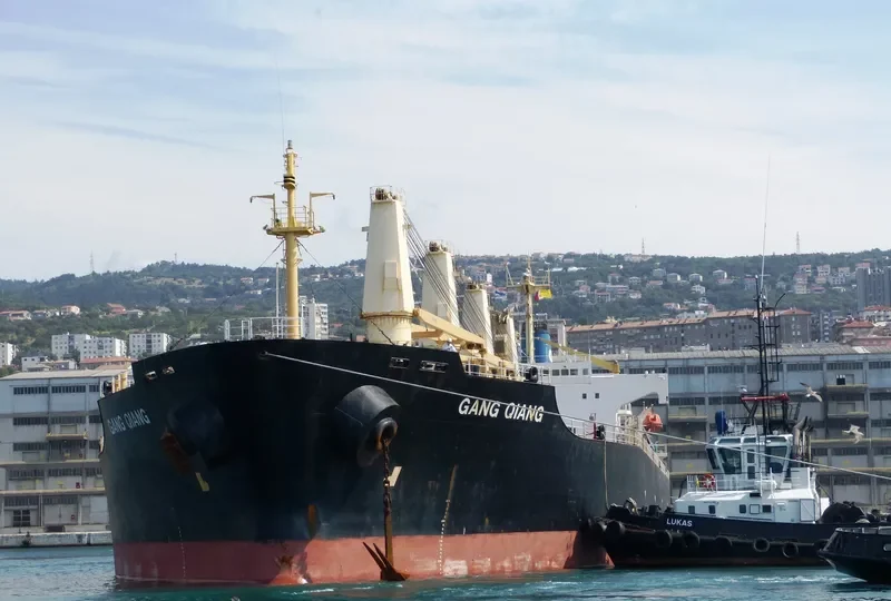 GANG QIANG Bulk Carrier IMO 9123635 photo 4