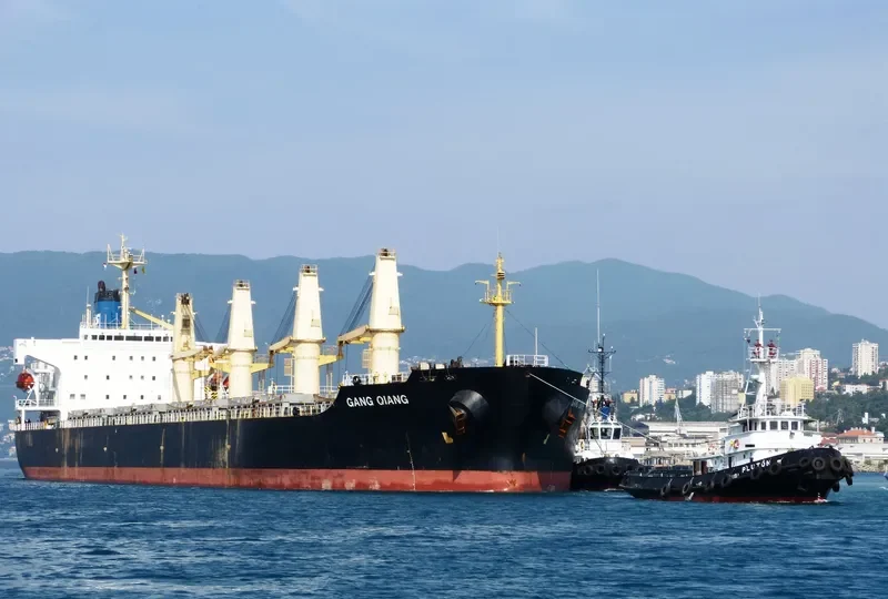 GANG QIANG Bulk Carrier IMO 9123635 photo 5