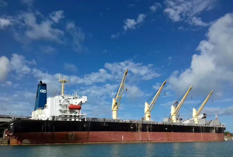 GANG QIANG Bulk Carrier IMO 9123635 photo 7