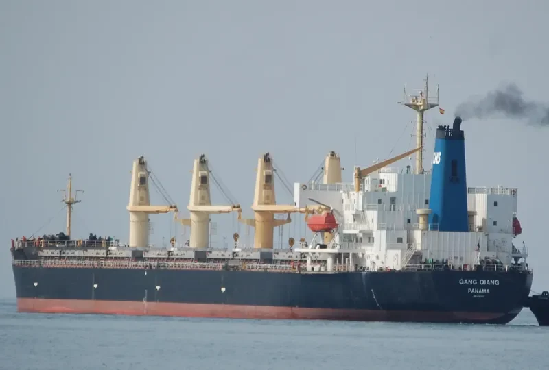 GANG QIANG Bulk Carrier IMO 9123635 photo 8