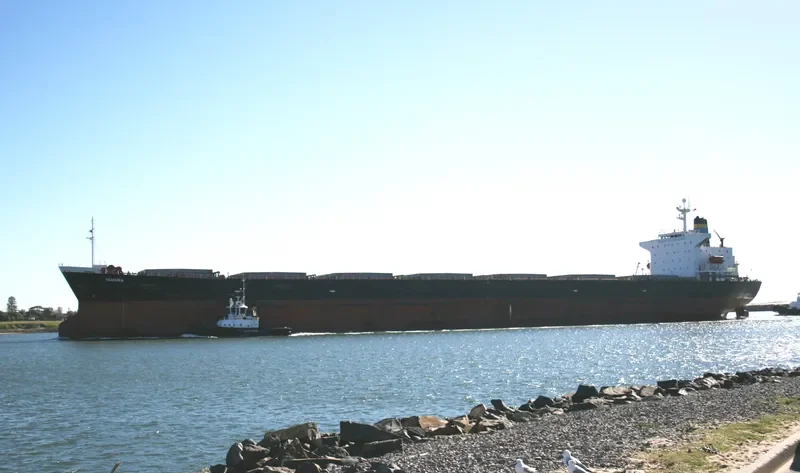 TAI HANG 6 Bulk Carrier IMO 9123647