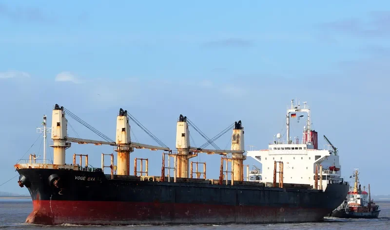 BEREKET Bulk Carrier IMO 9123702