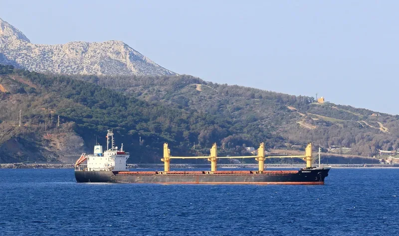 BEREKET Bulk Carrier IMO 9123702 photo 3