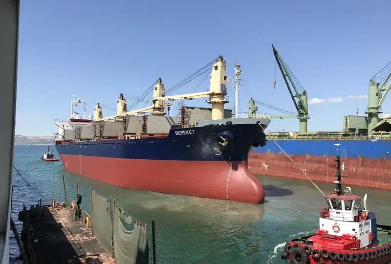 BEREKET Bulk Carrier IMO 9123702 photo 4