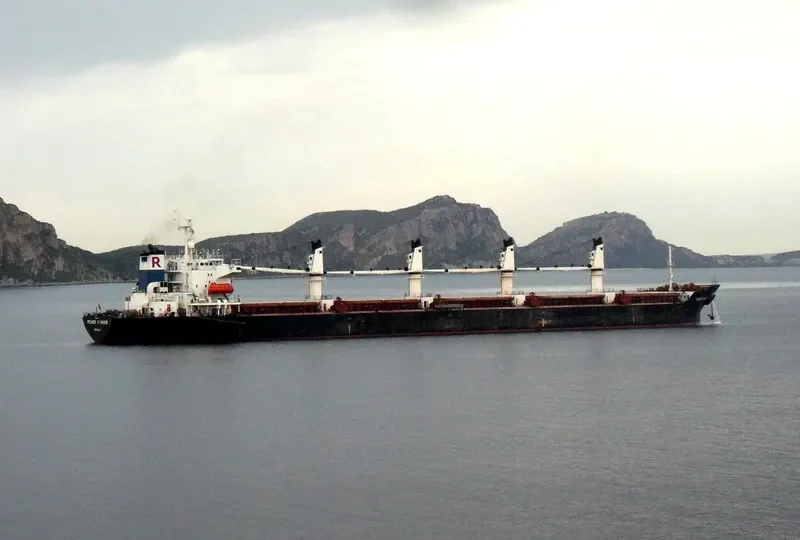POWER RANGER Bulk Carrier IMO 9123740