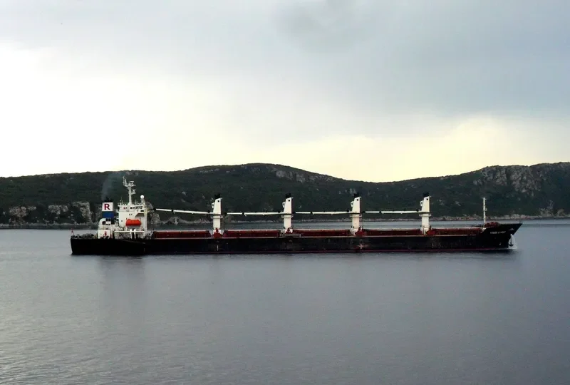 POWER RANGER Bulk Carrier IMO 9123740 photo 2
