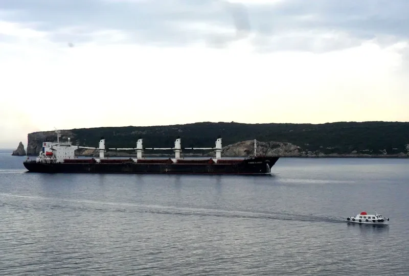 POWER RANGER Bulk Carrier IMO 9123740 photo 3
