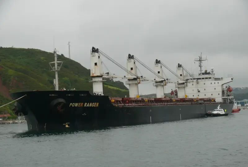 POWER RANGER Bulk Carrier IMO 9123740 photo 5