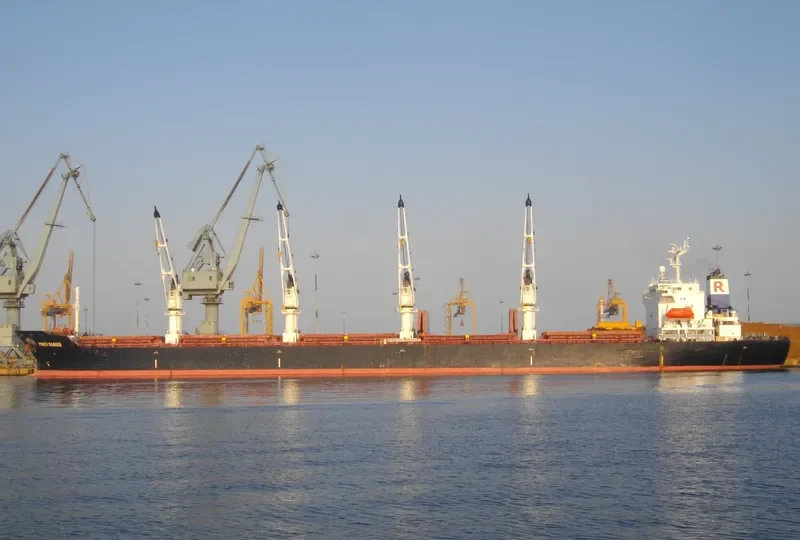 POWER RANGER Bulk Carrier IMO 9123740 photo 22
