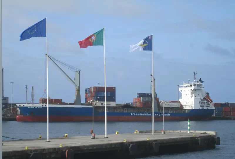 MONTE DA GUIA Container Ship IMO 9123788 photo 2