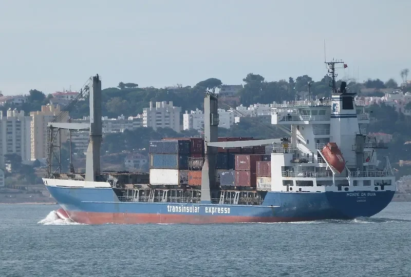 MONTE DA GUIA Container Ship IMO 9123788 photo 5