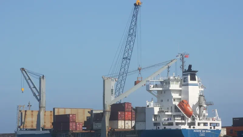 MONTE DA GUIA Container Ship IMO 9123788 photo 6