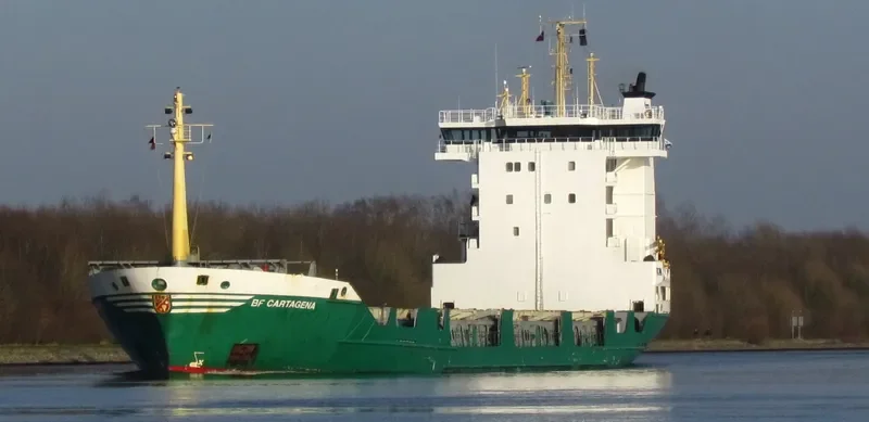 BF CARTAGENA Container Ship IMO 9123817