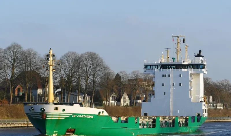 BF CARTAGENA Container Ship IMO 9123817 photo 3